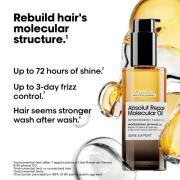 L'Oréal Professionnel Absolut Repair Molecular Bi-Phase Oil for Damage...