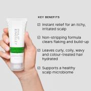 Philip Kingsley Flaky/Itchy Scalp Hydrating Curl Anti-Dandruff Shampoo...