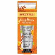 Burt's Bees Hand Cream with Shea Butter, Orange Blossom and Pistachio ...