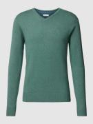 Tom Tailor Strickpullover mit Label-Stitching Modell 'BASIC' in Lind, ...