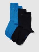 camano Socken mit Label-Print im 4er-Pack in Royal, Größe 39-42