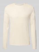 Christian Berg Men Regular Fit Pullover aus reiner Baumwolle in Strick...