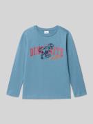 s.Oliver RED LABEL Regular Fit Langarmshirt aus reiner Baumwolle in Ra...