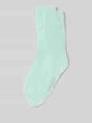 Christian Berg Men Socken mit geripptem Abschluss im 2er-Pack in Mint,...