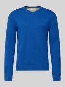 Tom Tailor Regular Fit Pullover aus reiner Baumwolle in Royal, Größe L