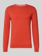 s.Oliver RED LABEL Regular Fit Pullover aus reiner Baumwolle in Hellro...