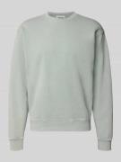 Drykorn Sweatshirt aus reiner Baumwolle in Gruen, Größe L