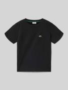 Lacoste Regular Fit T-Shirt aus reiner Baumwolle Modell 'CORE TEE' in ...