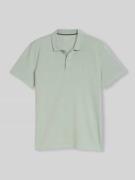 Tom Tailor Regular Fit Poloshirt aus reiner Baumwolle in Mint, Größe L