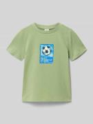s.Oliver RED LABEL Regular Fit T-Shirt aus reiner Baumwolle in Schilf,...