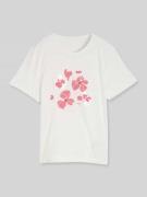Tom Tailor Regular Fit T-Shirt aus reiner Baumwolle mit Motiv-Print in...