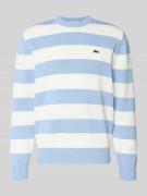 Lacoste Regular Fit Pullover aus reiner Baumwolle in Hellblau, Größe L