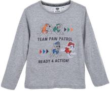 Paw Patrol Pullover, Grey, 4 Jahre