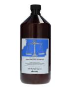 DAVINES Natural Tech Rebalancing Shampoo 1000 ml