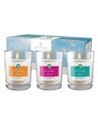 Air Wick Candle Aroma Gift Box 220 g 3 stk.