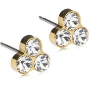 Blomdahl Golden Titanium Clover 8 mm Crystal