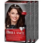 Schwarzkopf Brillance 880 Dark Brown 3-pack