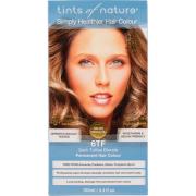 Tints of Nature Permanent Hair Colour 6TF Dark Toffee Blonde