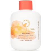 HoliFrog Sunapee Sacred-C Brightening Powder Wash- 71 g