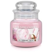 Country Candle Blushberry Frose Mini Jar