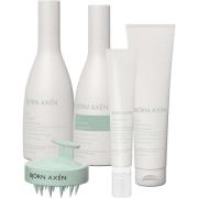 Björn Axen Scalp Kit