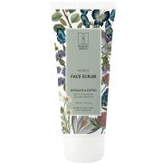 Raunsborg Nordic Face Scrub 100 ml