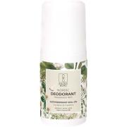 Raunsborg Nordic Deodorant Antiperspirant Perfume Free 75 ml