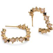Lily and Rose Celine earrings - Champagne / jet