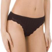 Calida Etude Toujours Regular Cut Brief Schwarz Baumwolle Small Damen