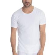 Calida Pure and Style T-shirt Weiß Baumwolle Small Herren