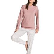 Calida Sweet Dreams Pyjama With Cuff Rosa gestreift Baumwolle Small Da...