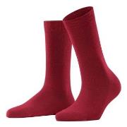 Falke Family Woman Rot Baumwolle Gr 39/42 Damen