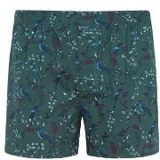 Jockey Woven Poplin Boxer Shorts Grün Baumwolle Small Herren