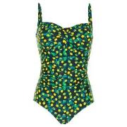 Missya Genova Argentina Swimsuit Blau Muster 38 Damen