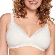 NATURANA BH Everyday Wednesday Striped Soft Bra Elfenbein A 75 Damen