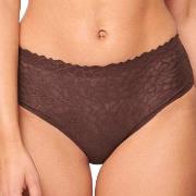 Sloggi 2P ZERO Feel Lace 2.0 High Waist Brief Braun Small Damen