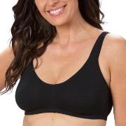 Trofe Comfort Lounge Bra BH Schwarz Baumwolle A 80 Damen