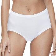 JBS of Denmark Organic Cotton Maxi Brief Weiß Ökologische Baumwolle Sm...