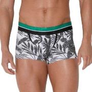 Code 22 Palm Tree Trunk Mixed Small Herren