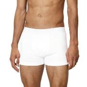 Marc O Polo Men Boxer 2P Weiß Baumwolle Small Herren