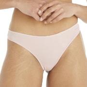 Calvin Klein Sheer Marquisette Thong Hellrosa Small Damen