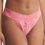 Hanky Panky 2P Daily Lace Original Rise Thong D1 Rosa Nylon One Size D...