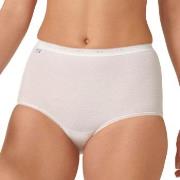 Sloggi 2P Basic Plus Maxi Briefs Weiß Baumwolle 38 Damen