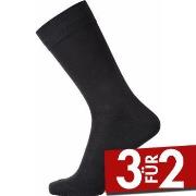 Egtved Cotton No Elastic Sock Schwarz Gr 45/48 Herren