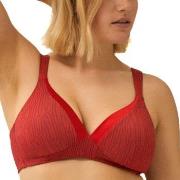 NATURANA BH The Wednesday Padded Non Wired Bra Rot Polyamid A 75 Damen