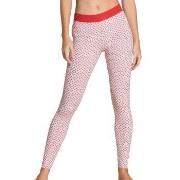 Calida Elastic Trend Leggings Rot Muster Baumwolle Small Damen