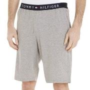 Tommy Hilfiger Loungewear Jersey Shorts Grau Baumwolle Small Herren