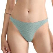 Sloggi ZERO Feel Bliss String Brief Hellgrün Large Damen