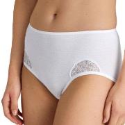 Calida Cotton Desire Midi Brief Weiß Baumwolle Small Damen