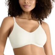 Sloggi BH GO Daily Cotton Soft Bra Elfenbein Small Damen